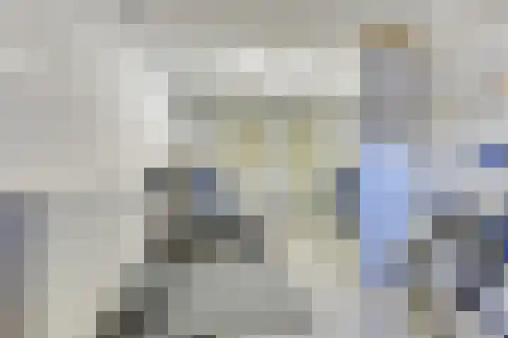 Lijster 83 Spanbroek thumbnail 24