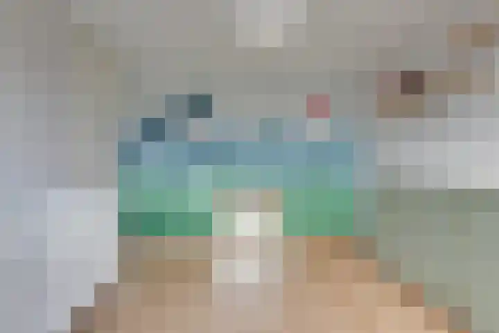 Lijster 83 Spanbroek thumbnail 36