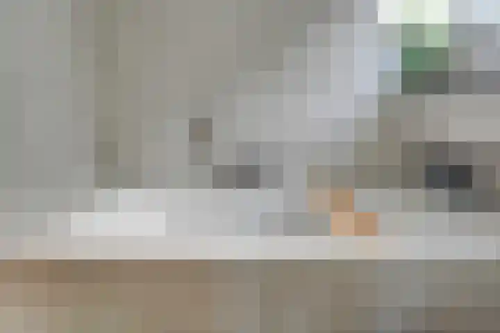 Lijster 83 Spanbroek thumbnail 39