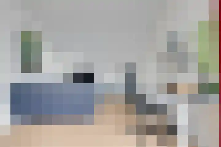 Lijster 83 Spanbroek thumbnail 46
