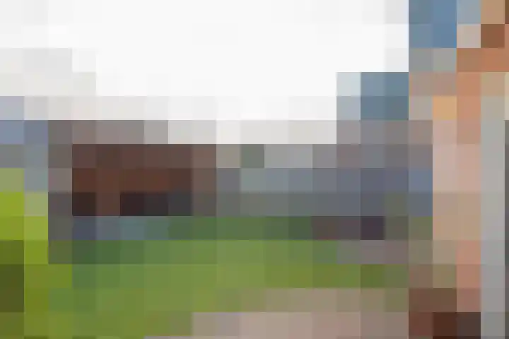 Lijster 83 Spanbroek thumbnail 51