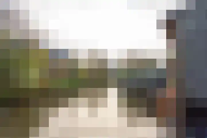 Lijster 83 Spanbroek thumbnail 52