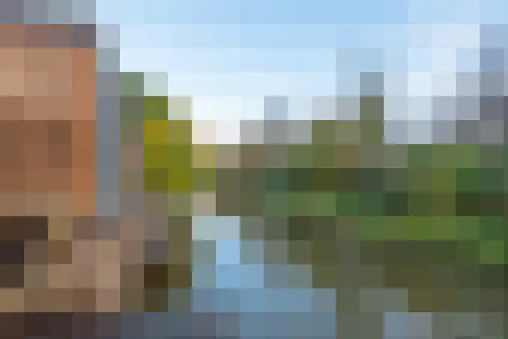 Lijster 83 Spanbroek thumbnail 53