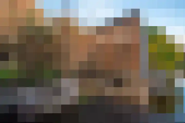 Lijster 83 Spanbroek thumbnail 54