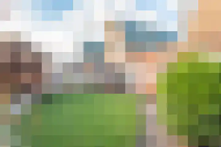Lijster 83 Spanbroek thumbnail 56