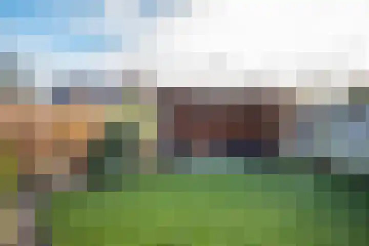Lijster 83 Spanbroek thumbnail 6