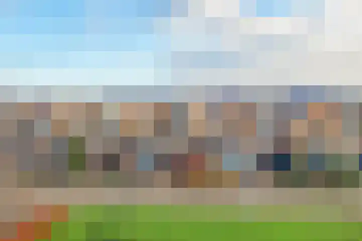Lijster 83 Spanbroek thumbnail 7