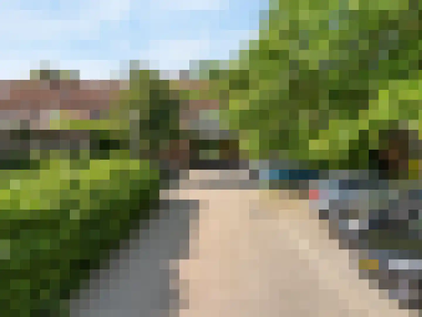 Lijster 85 Hoorn thumbnail 11