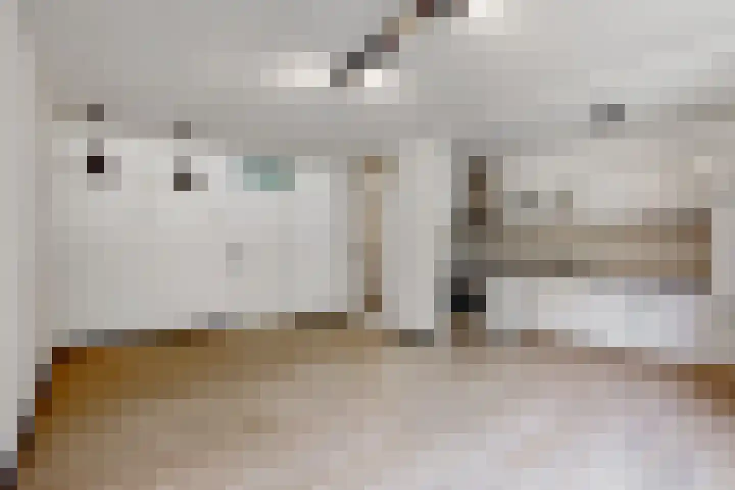 Lijster 85 Hoorn thumbnail 12