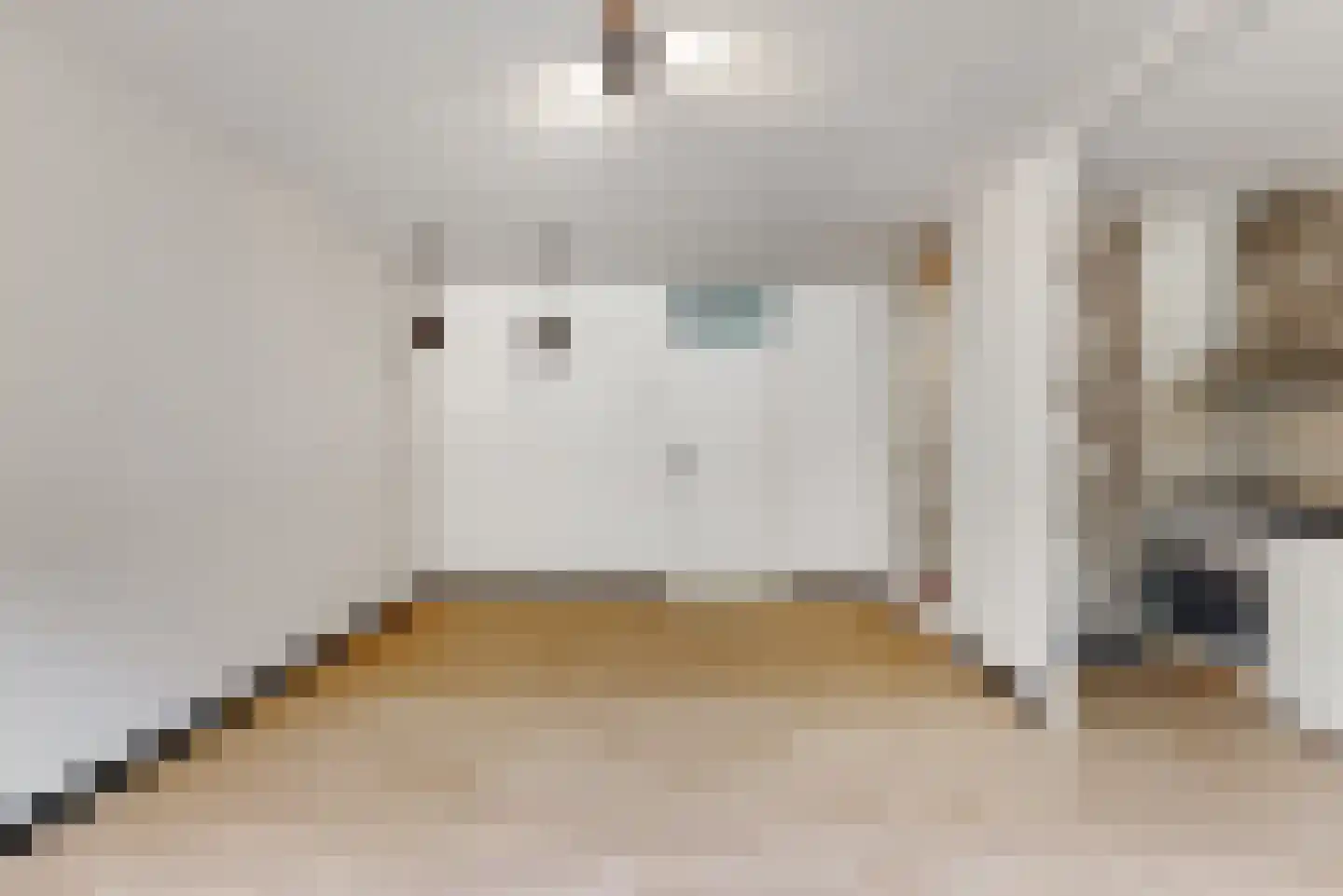 Lijster 85 Hoorn thumbnail 13