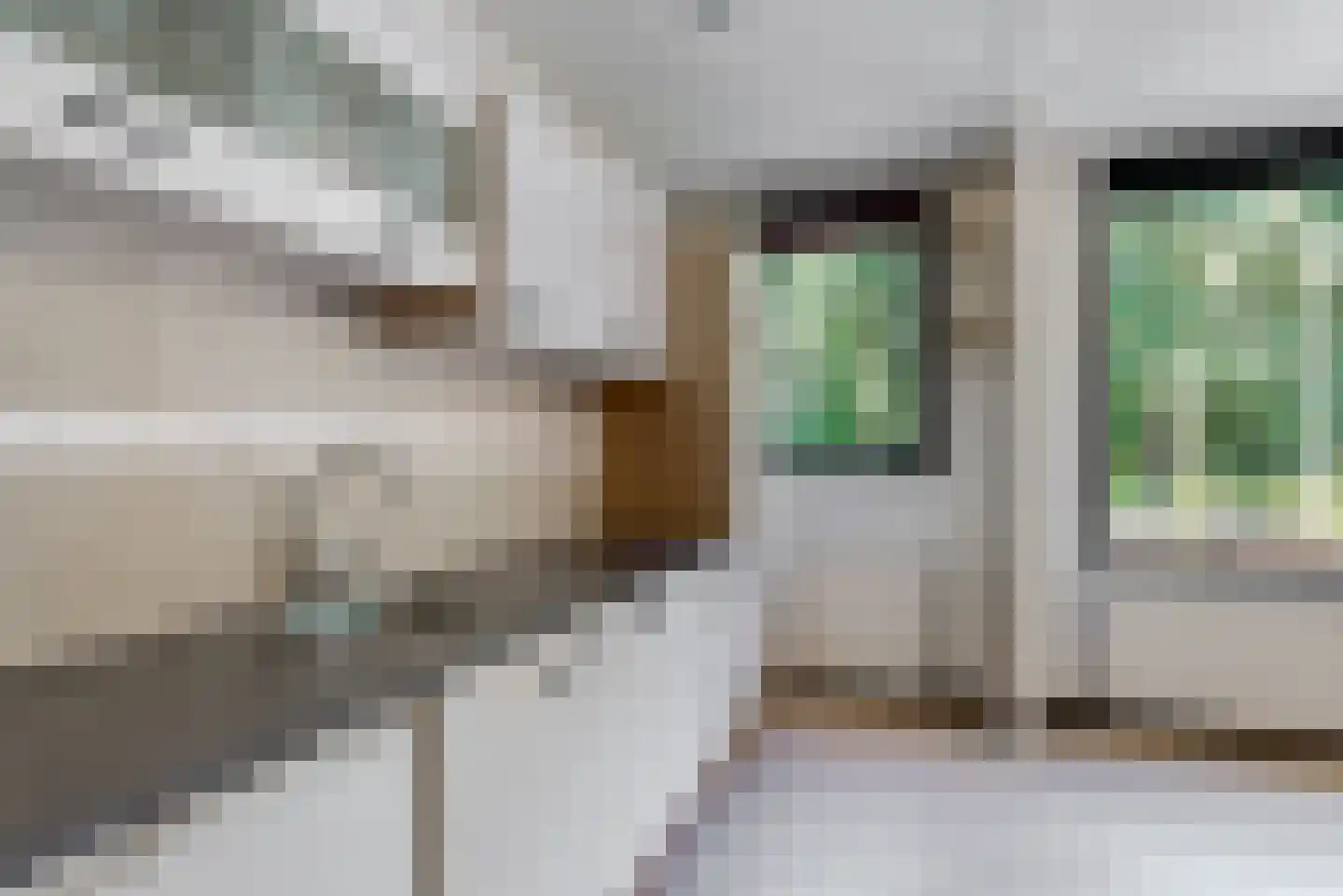 Lijster 85 Hoorn thumbnail 17