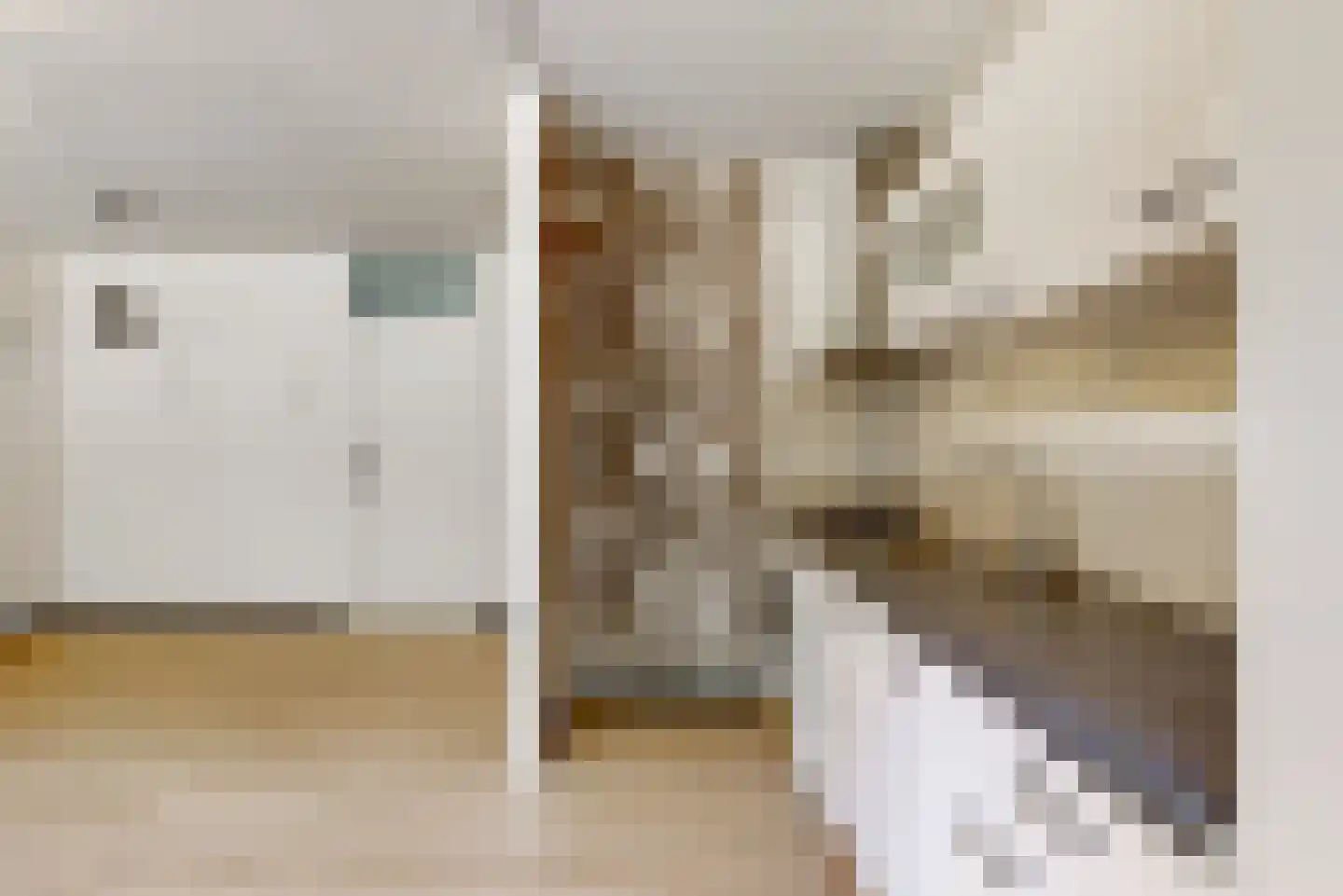 Lijster 85 Hoorn thumbnail 18