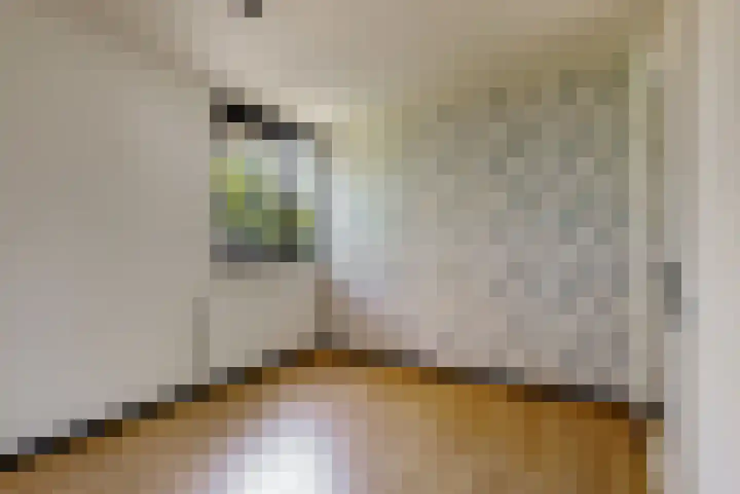 Lijster 85 Hoorn thumbnail 20