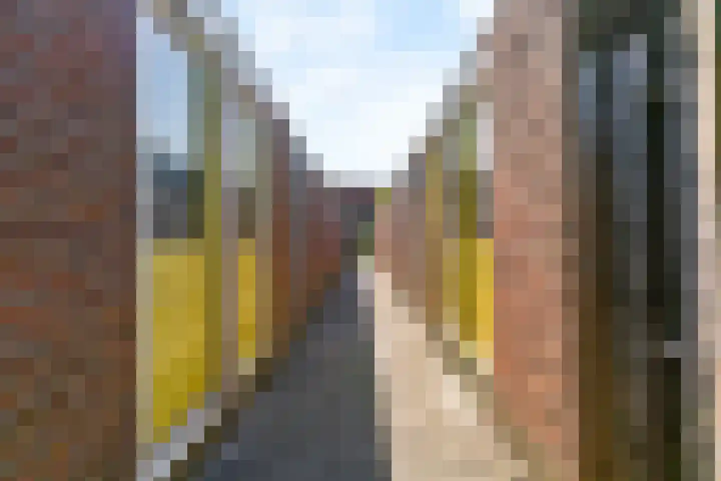 Lijster 85 Hoorn thumbnail 24