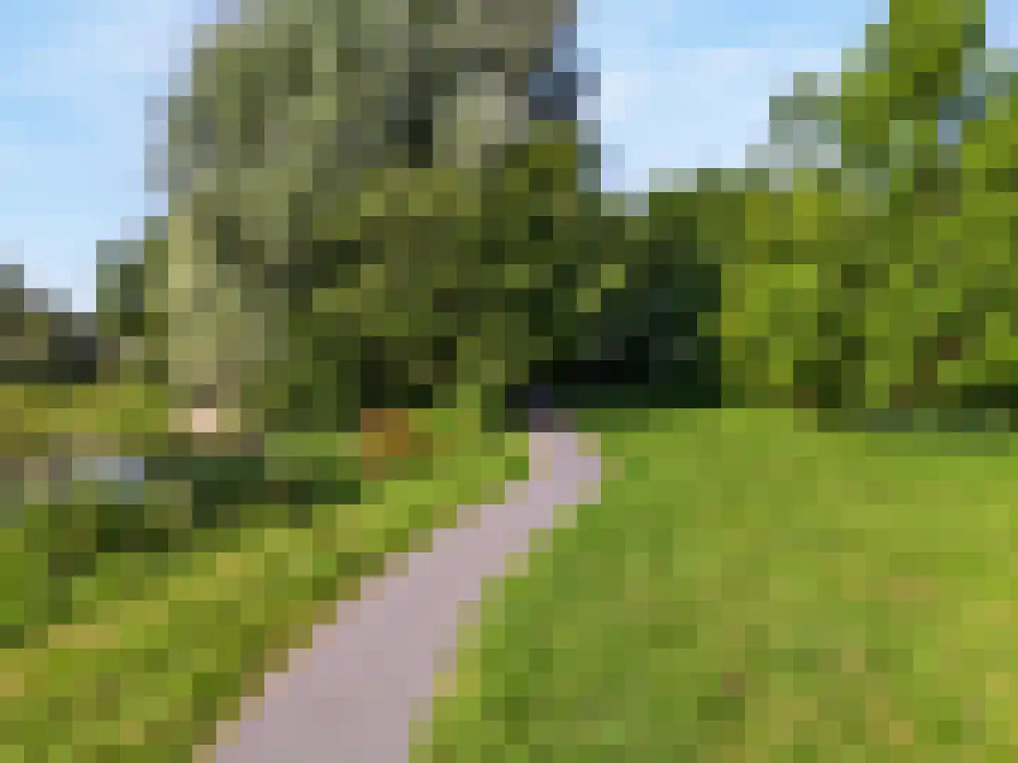 Lijster 85 Hoorn thumbnail 26