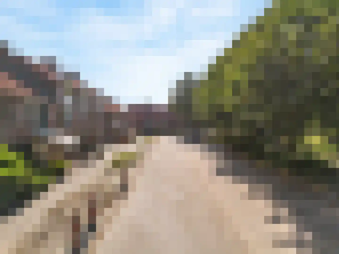 Lijster 85 Hoorn thumbnail 7