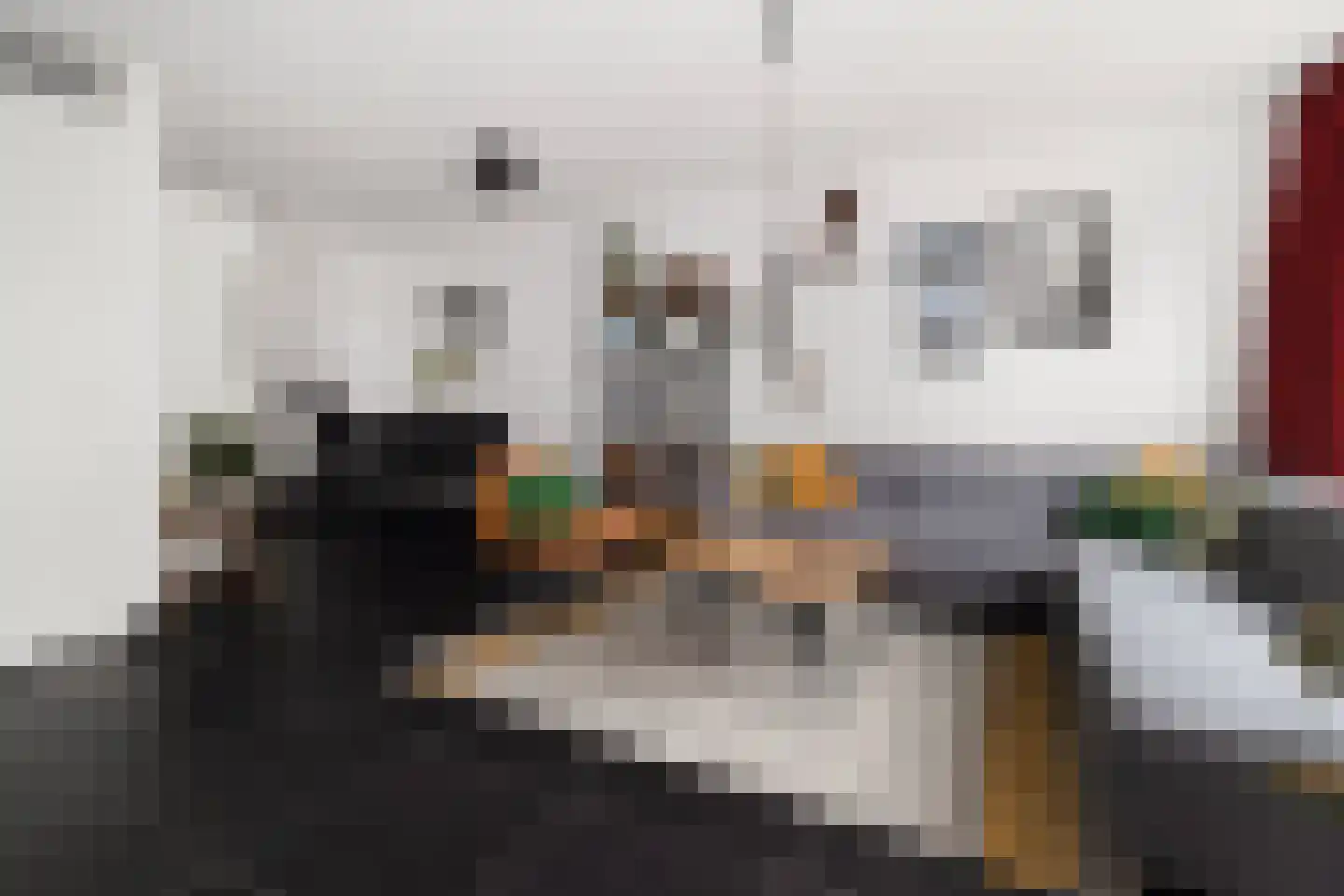 Lijster 9 Eijsden thumbnail 10