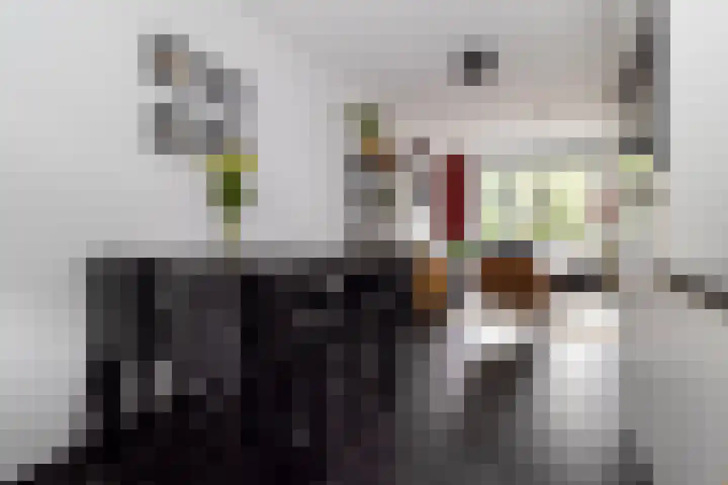 Lijster 9 Eijsden thumbnail 13