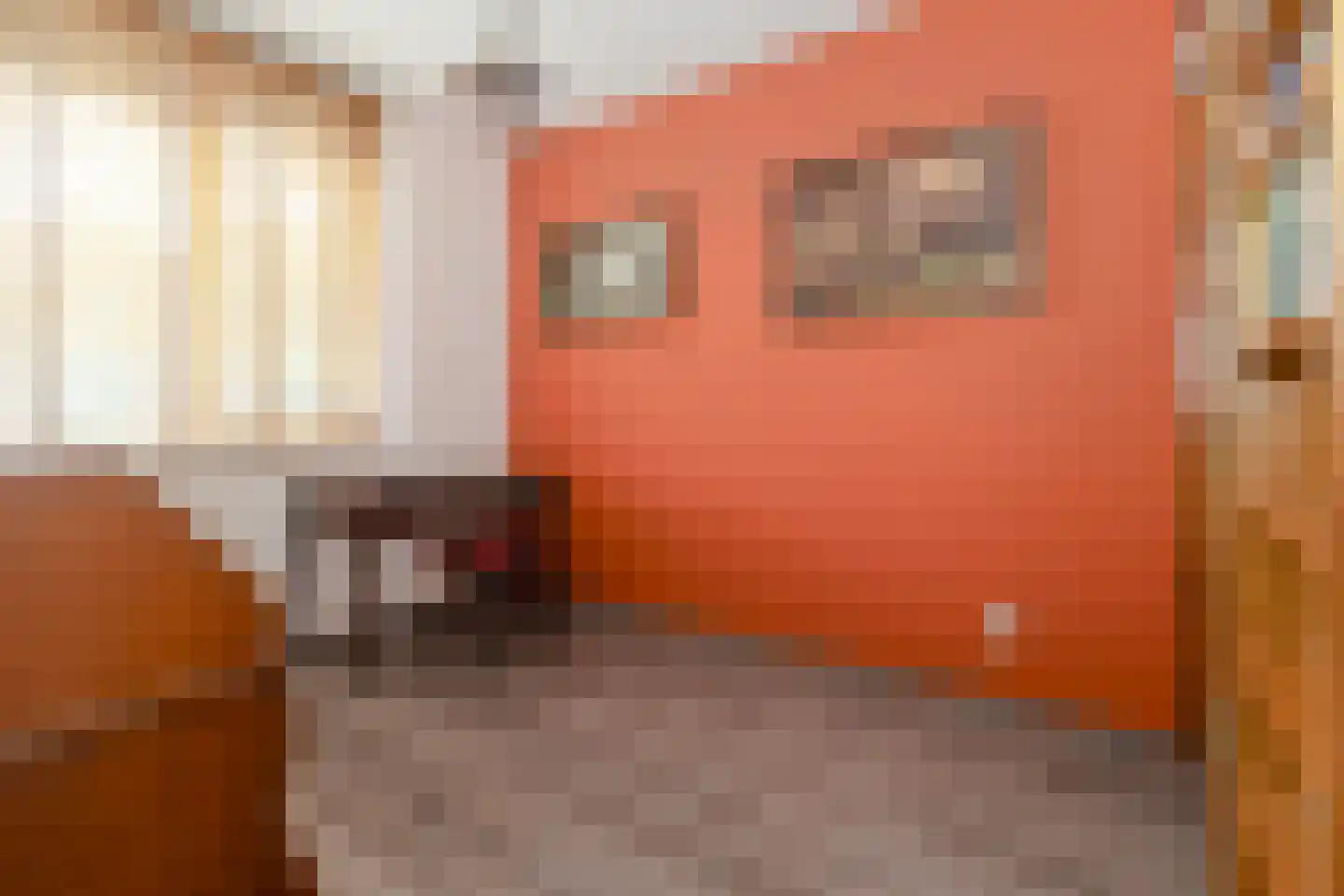 Lijster 9 Eijsden thumbnail 16