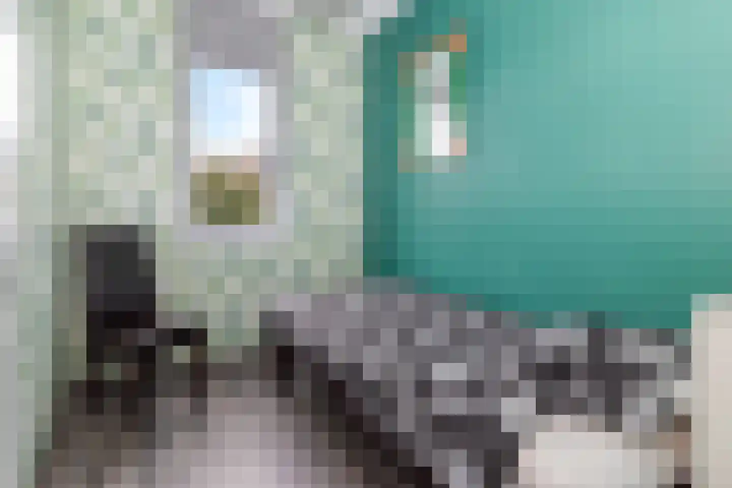 Lijster 9 Eijsden thumbnail 18