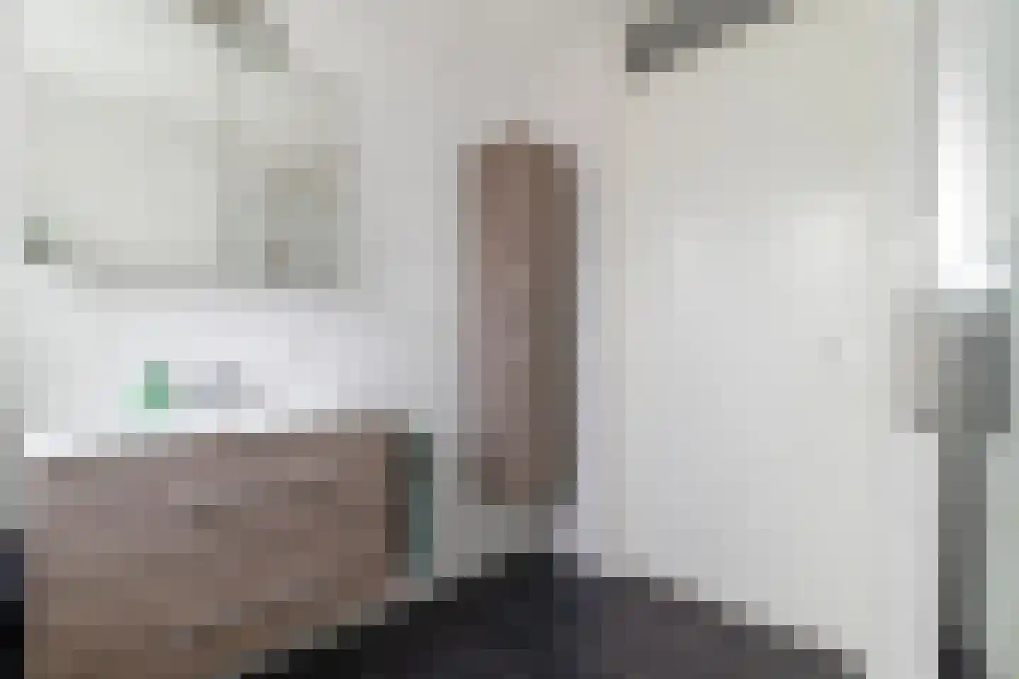 Lijster 9 Eijsden thumbnail 19