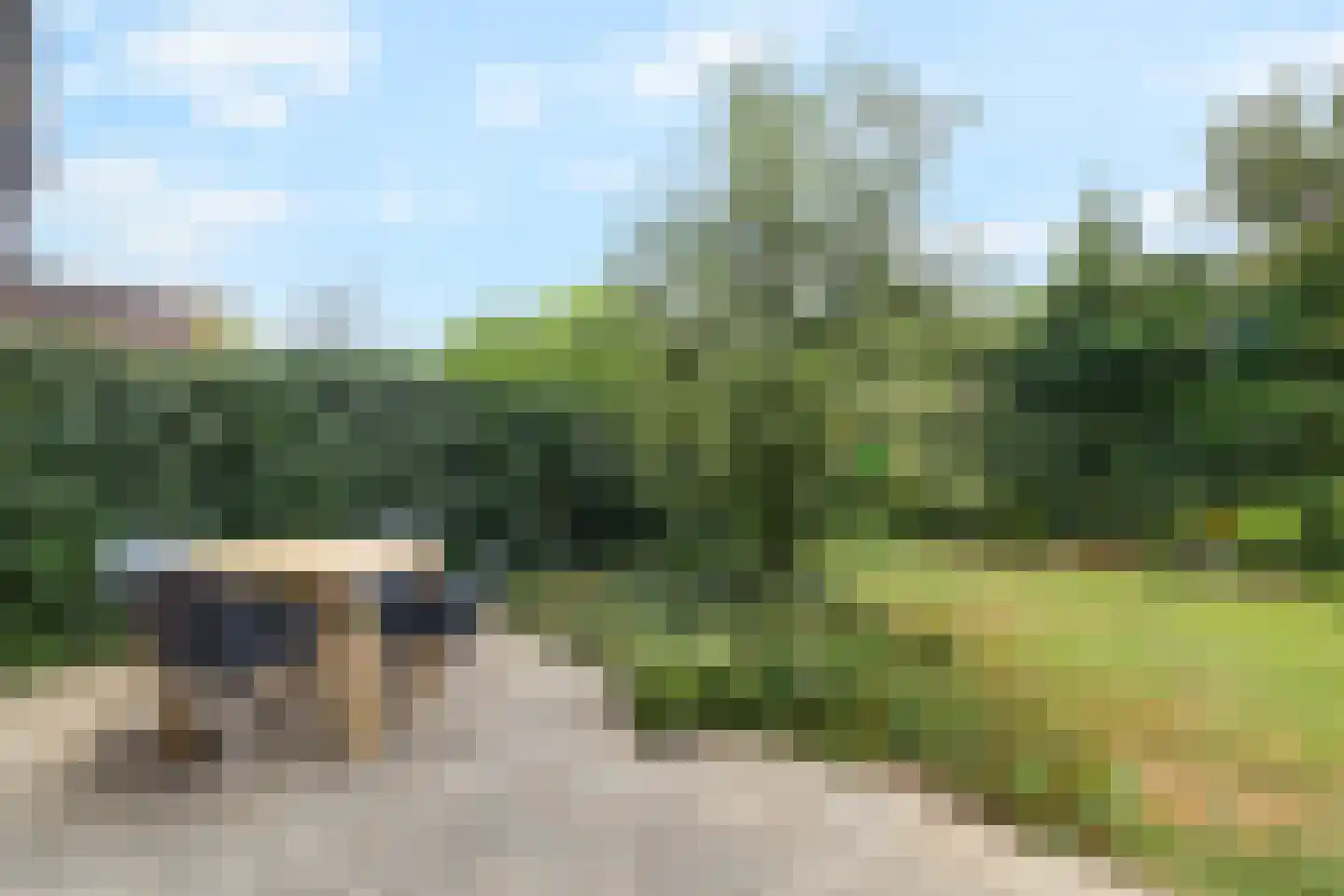 Lijster 9 Eijsden thumbnail 25