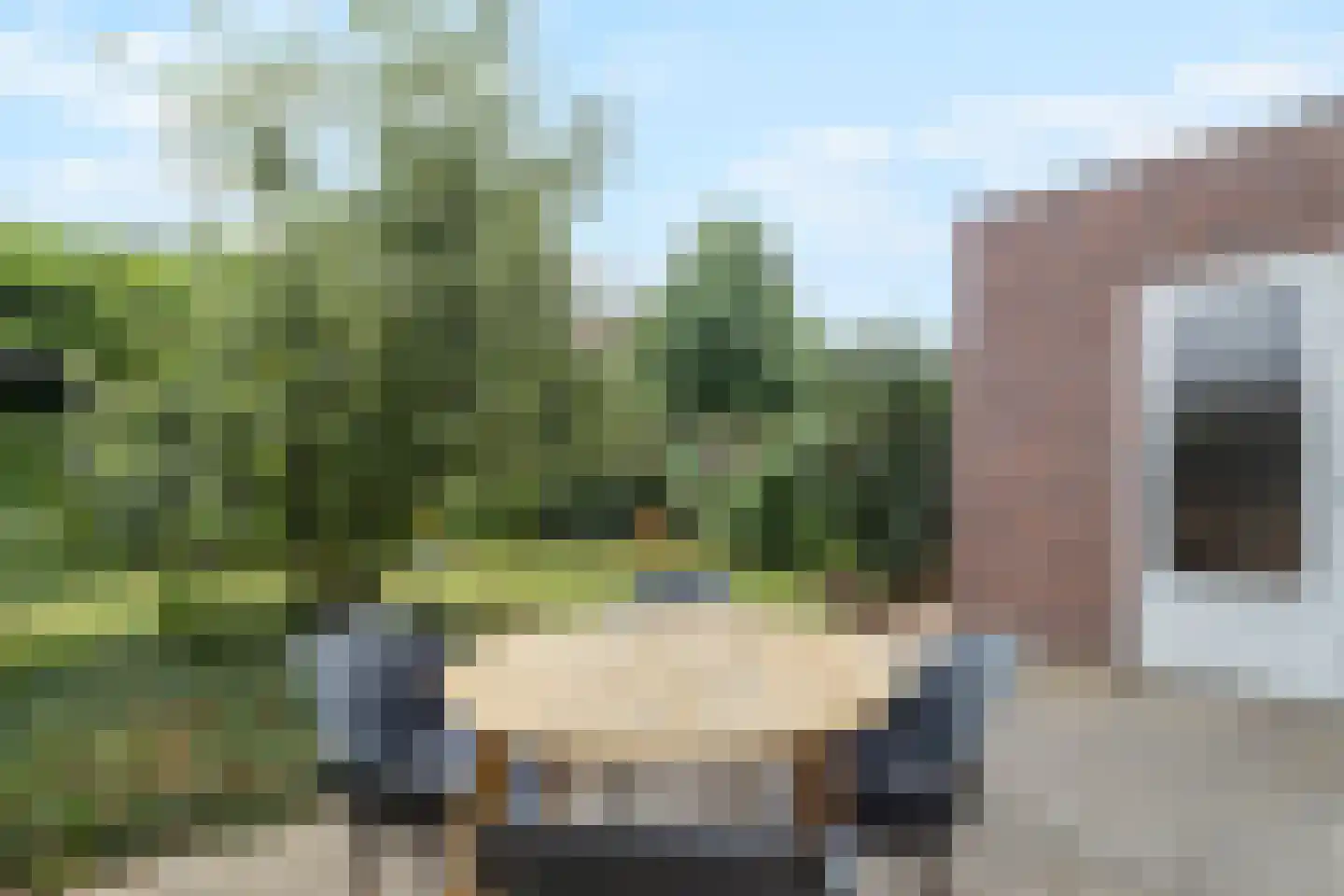 Lijster 9 Eijsden thumbnail 26