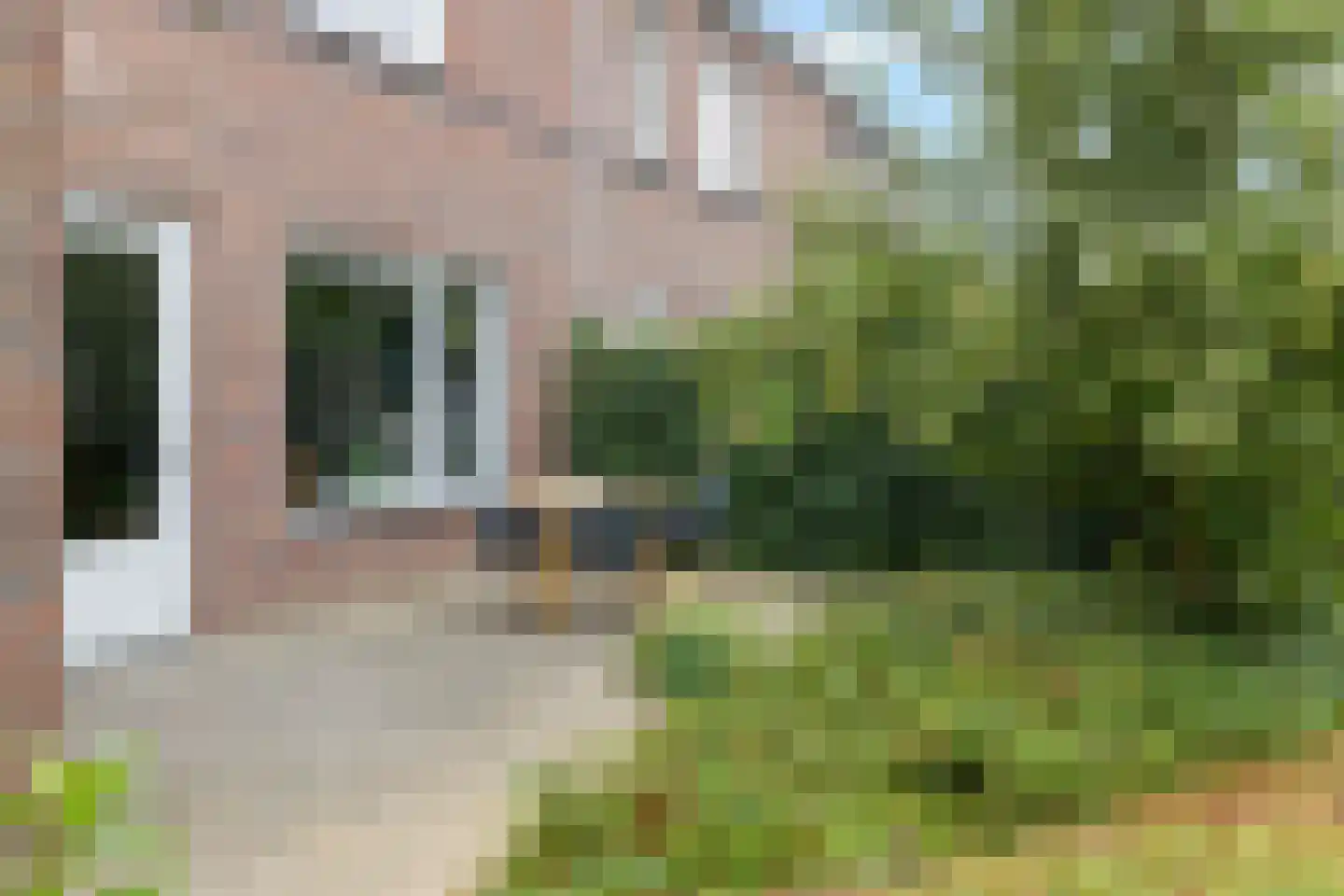 Lijster 9 Eijsden thumbnail 28