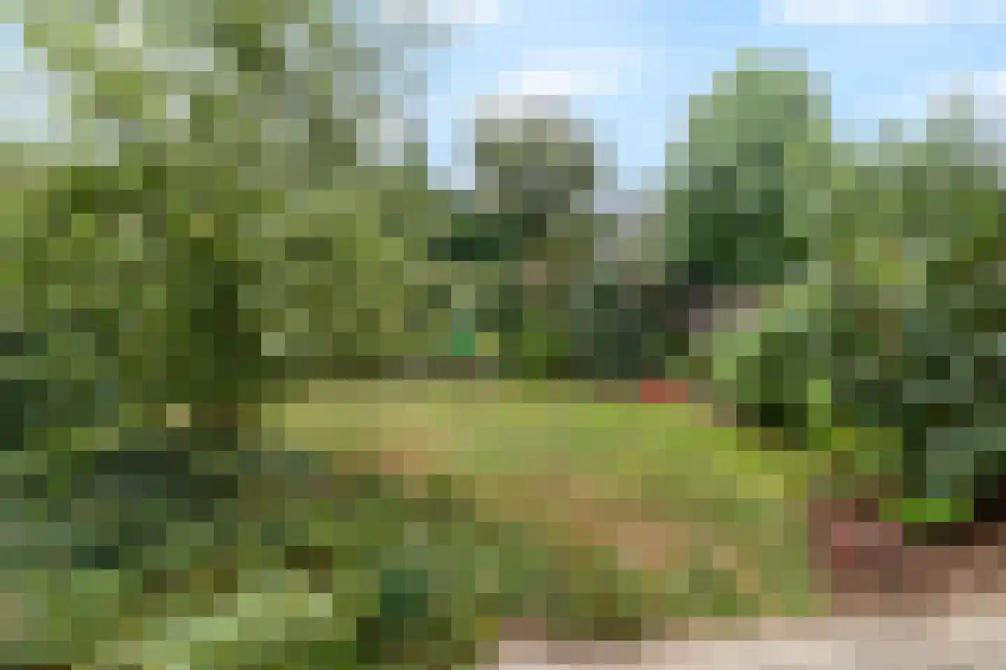 Lijster 9 Eijsden thumbnail 29