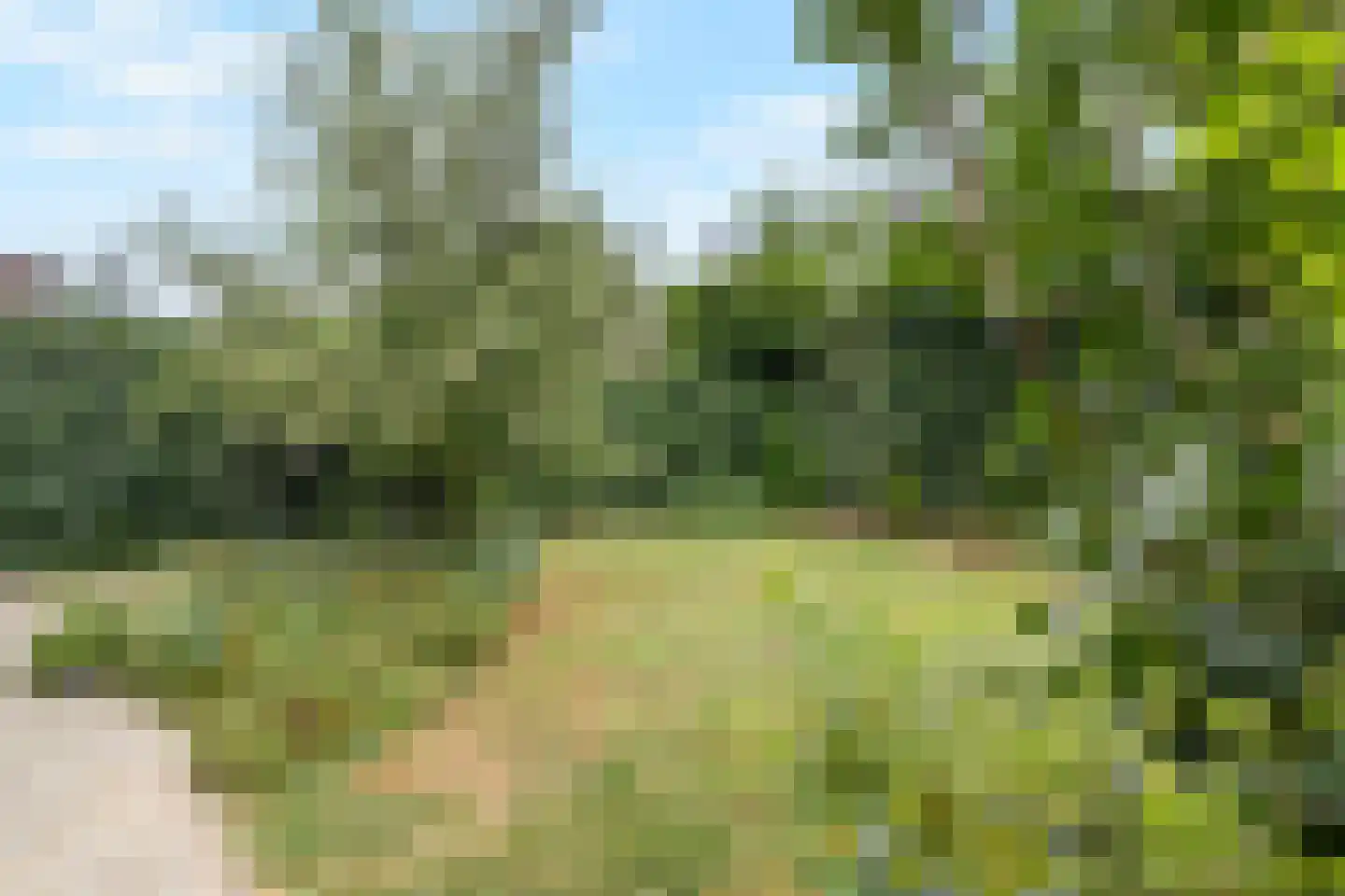 Lijster 9 Eijsden thumbnail 30