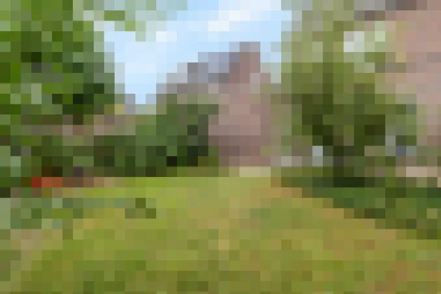 Lijster 9 Eijsden thumbnail 32