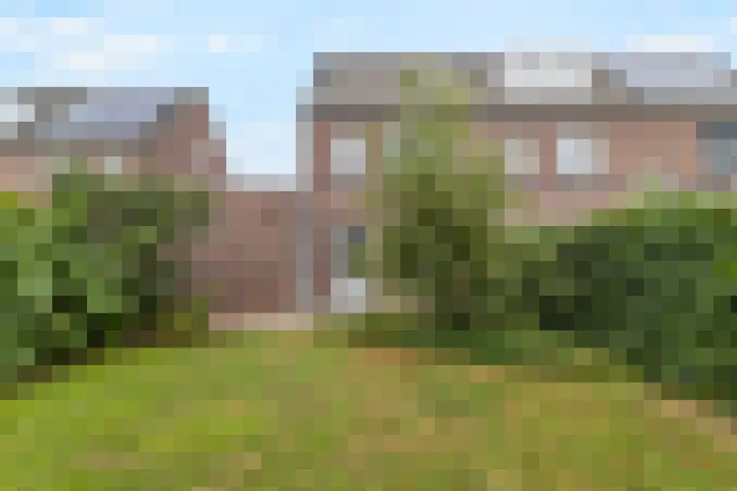 Lijster 9 Eijsden thumbnail 33