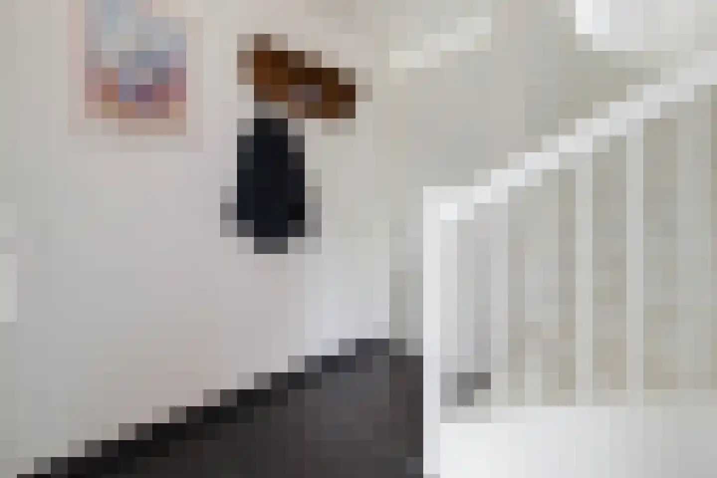 Lijster 9 Eijsden thumbnail 5