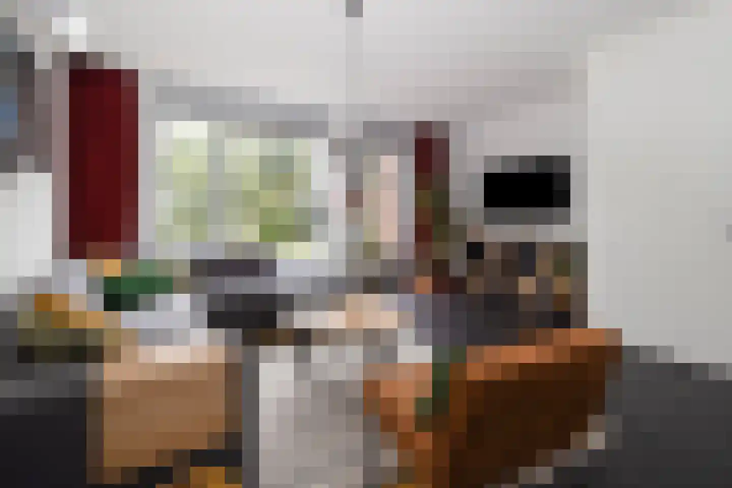 Lijster 9 Eijsden thumbnail 8