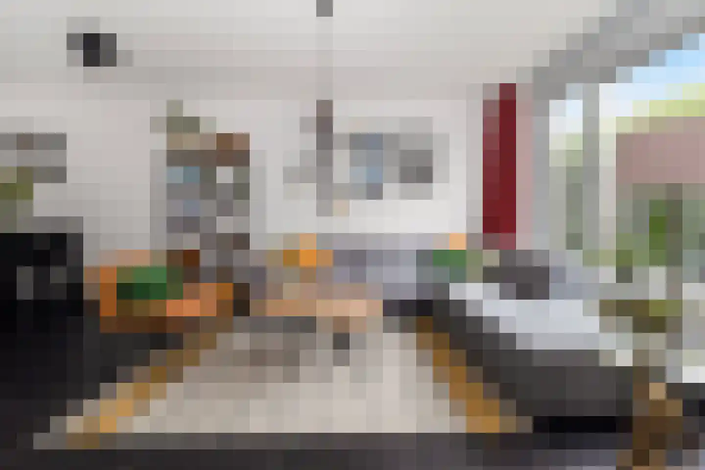 Lijster 9 Eijsden thumbnail 9