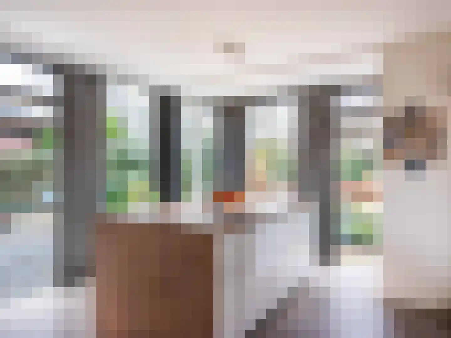 Lijsterbes 1 Heiloo thumbnail 11