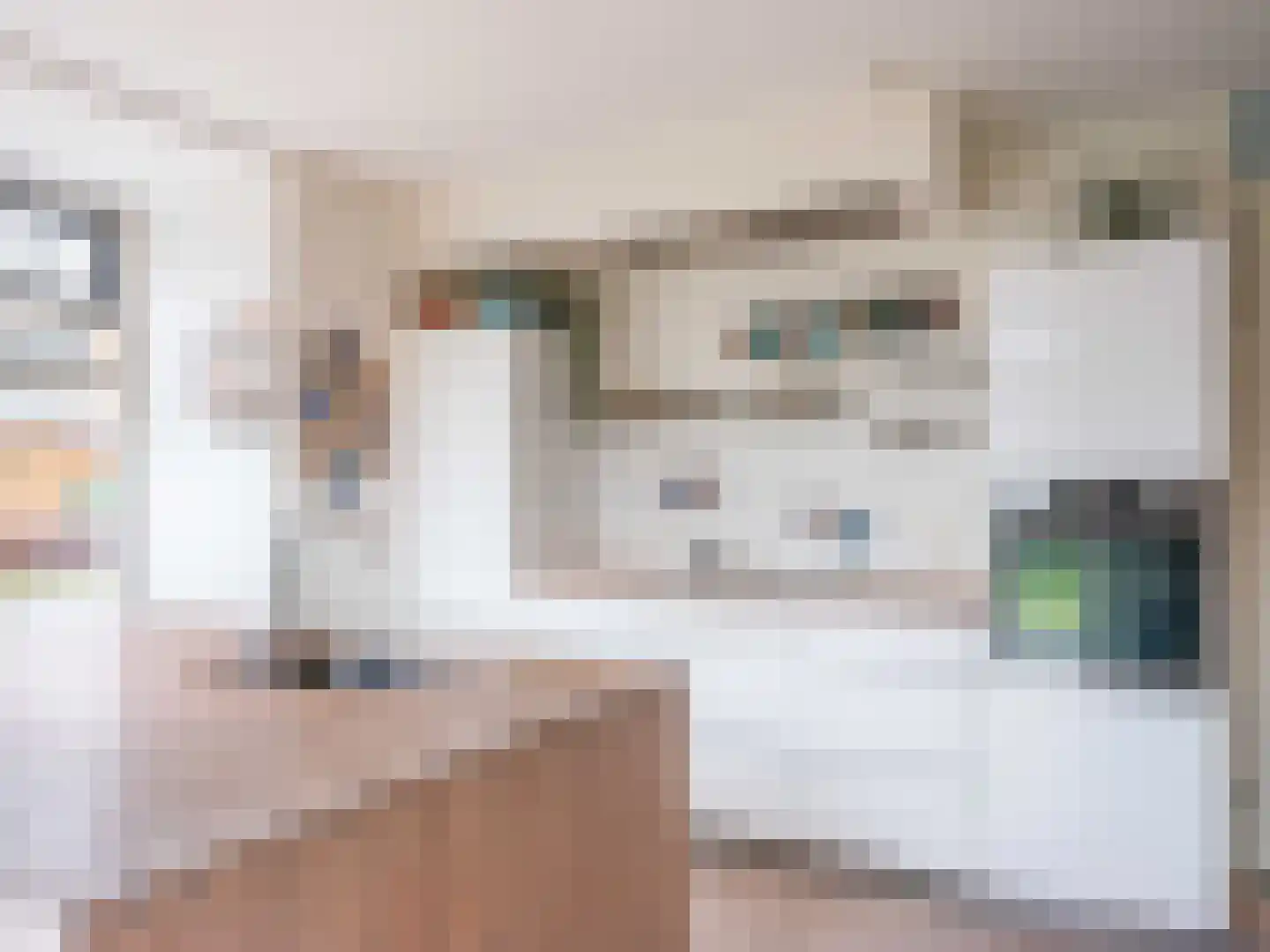 Lijsterbes 1 Heiloo thumbnail 13