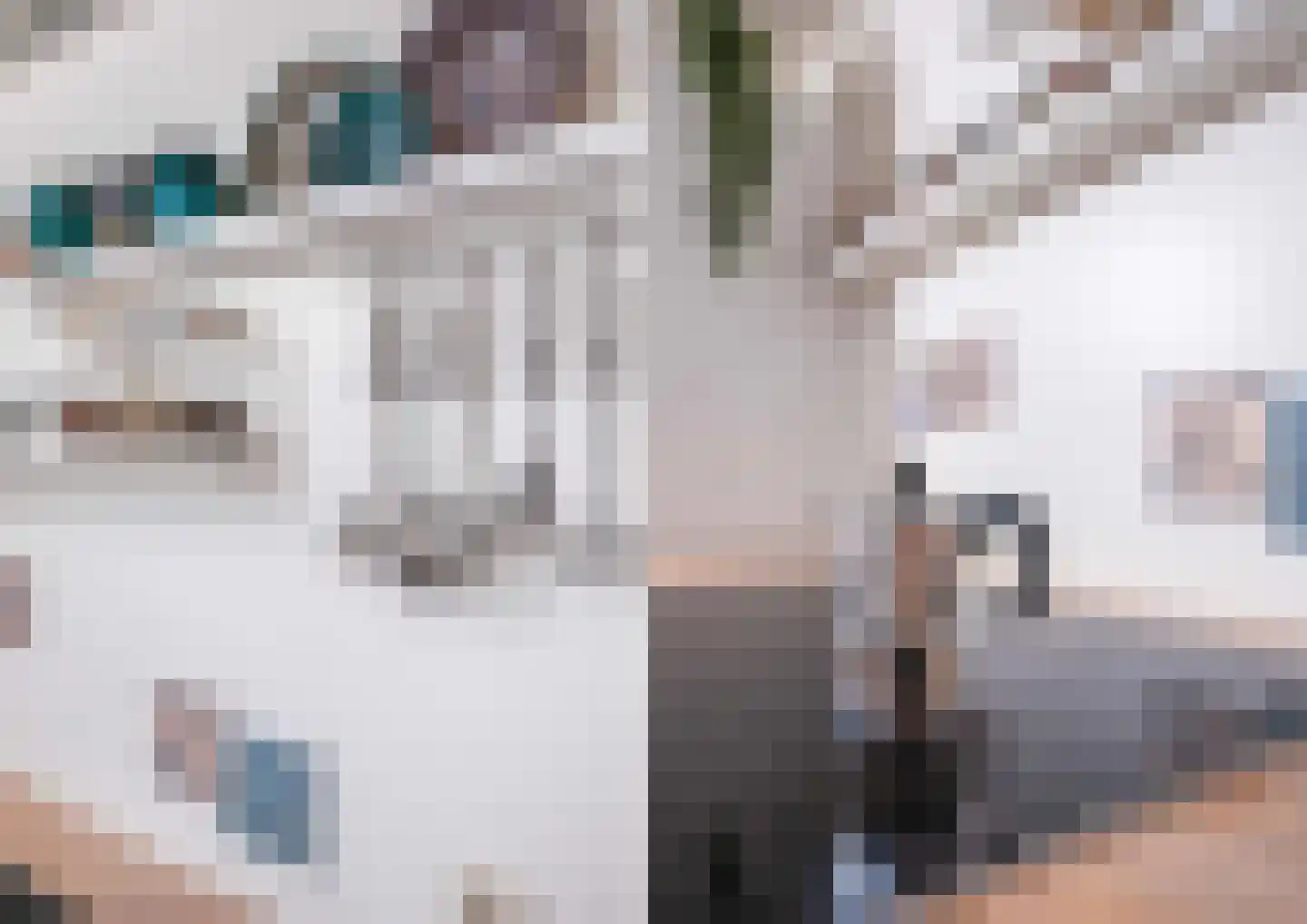 Lijsterbes 1 Heiloo thumbnail 14