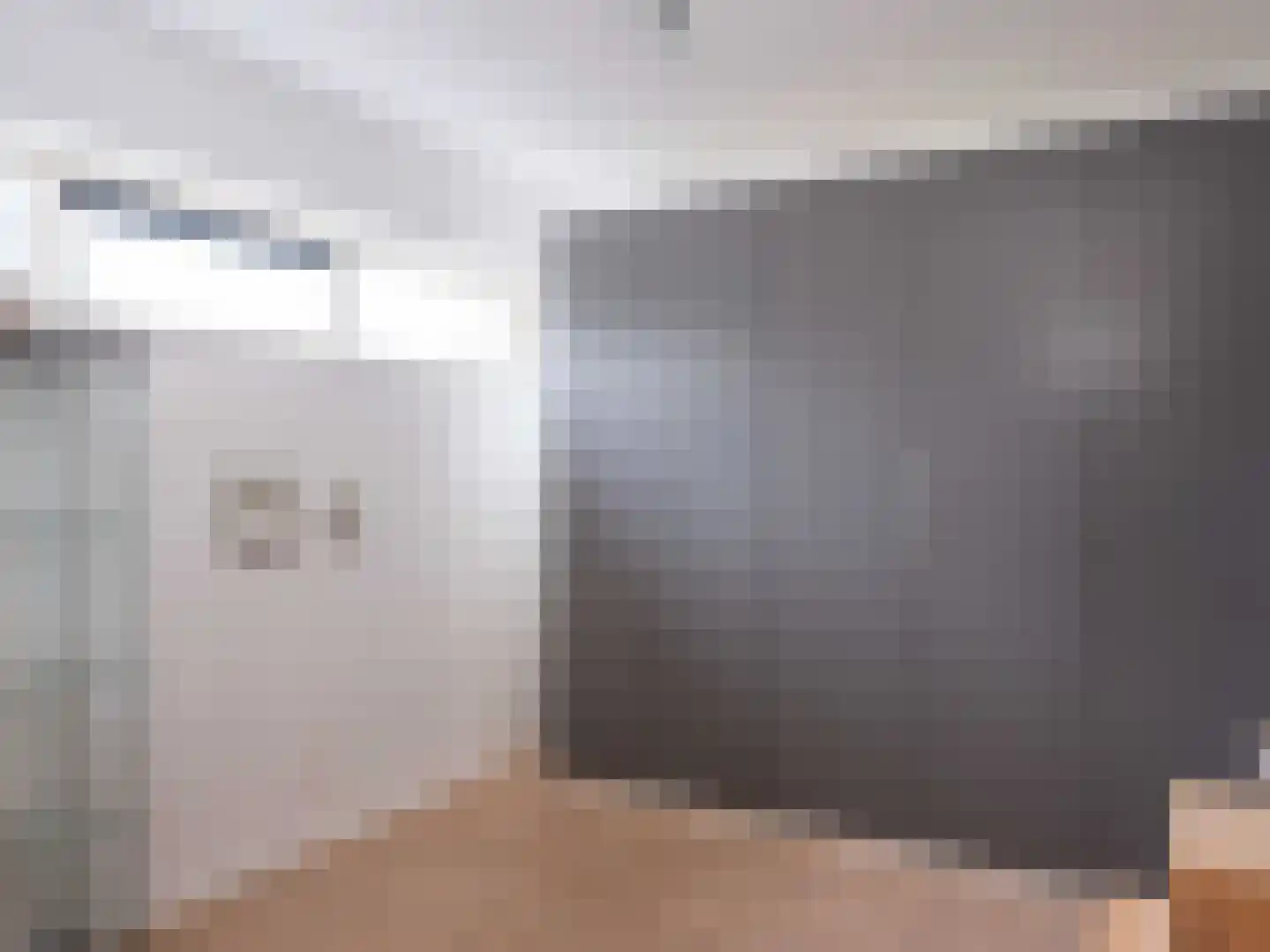 Lijsterbes 1 Heiloo thumbnail 19