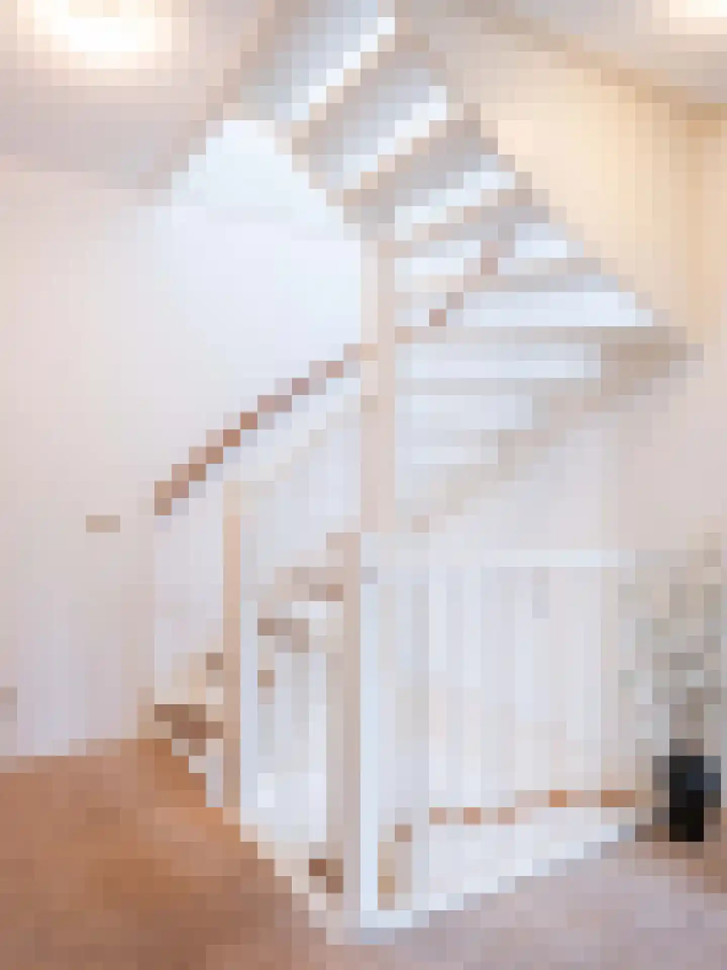 Lijsterbes 1 Heiloo thumbnail 22