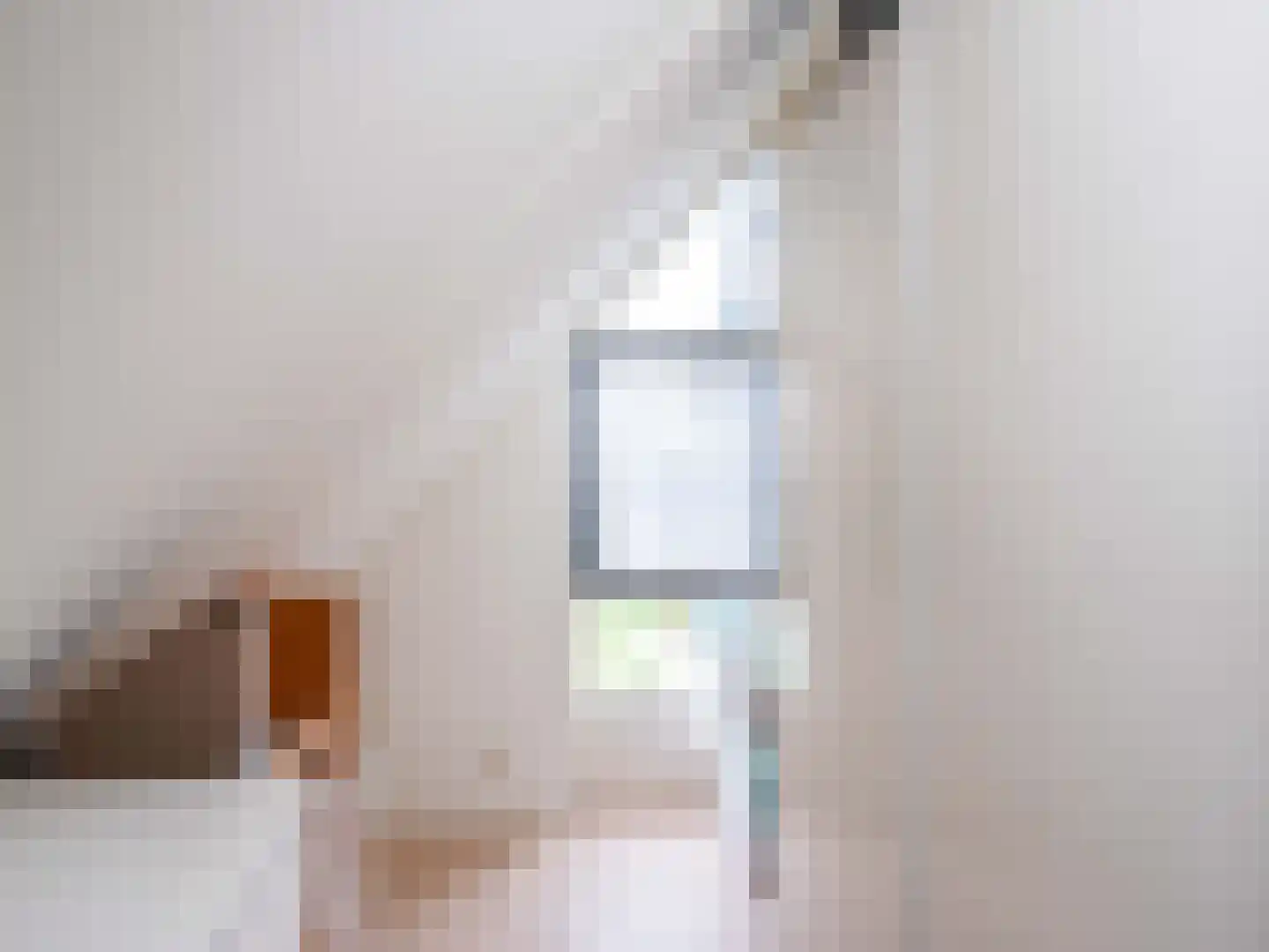 Lijsterbes 1 Heiloo thumbnail 25