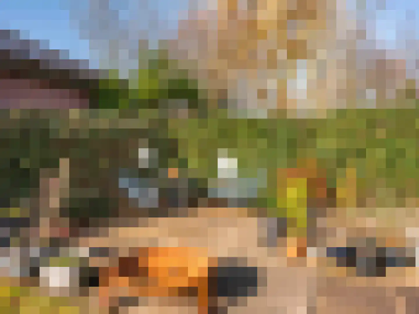 Lijsterbes 1 Heiloo thumbnail 31