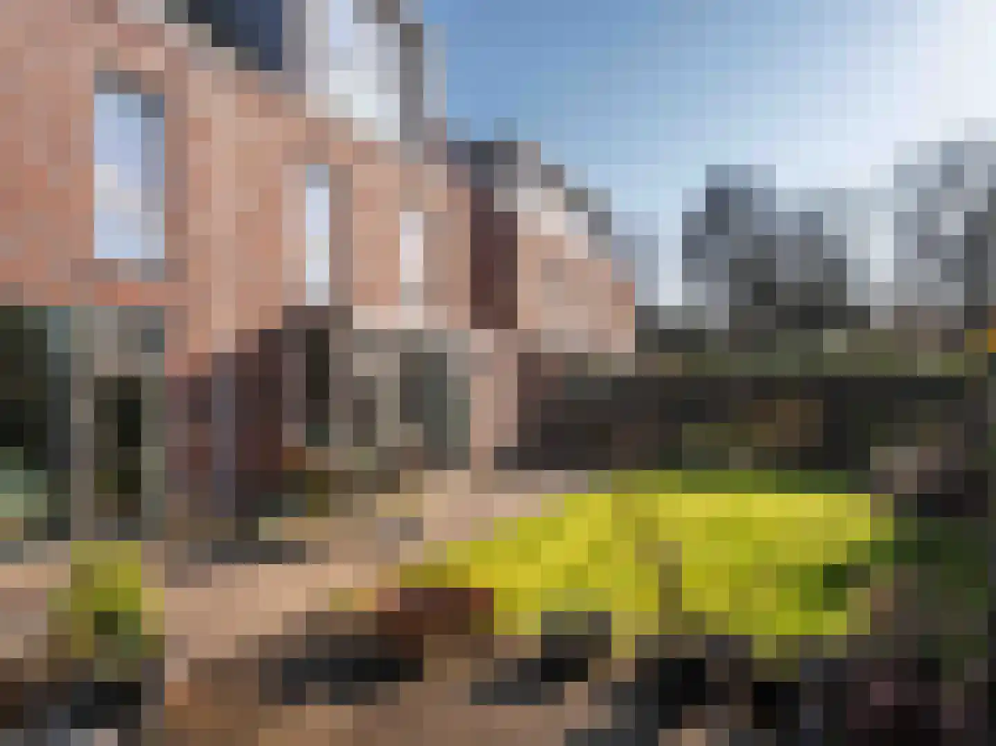 Lijsterbes 1 Heiloo thumbnail 33