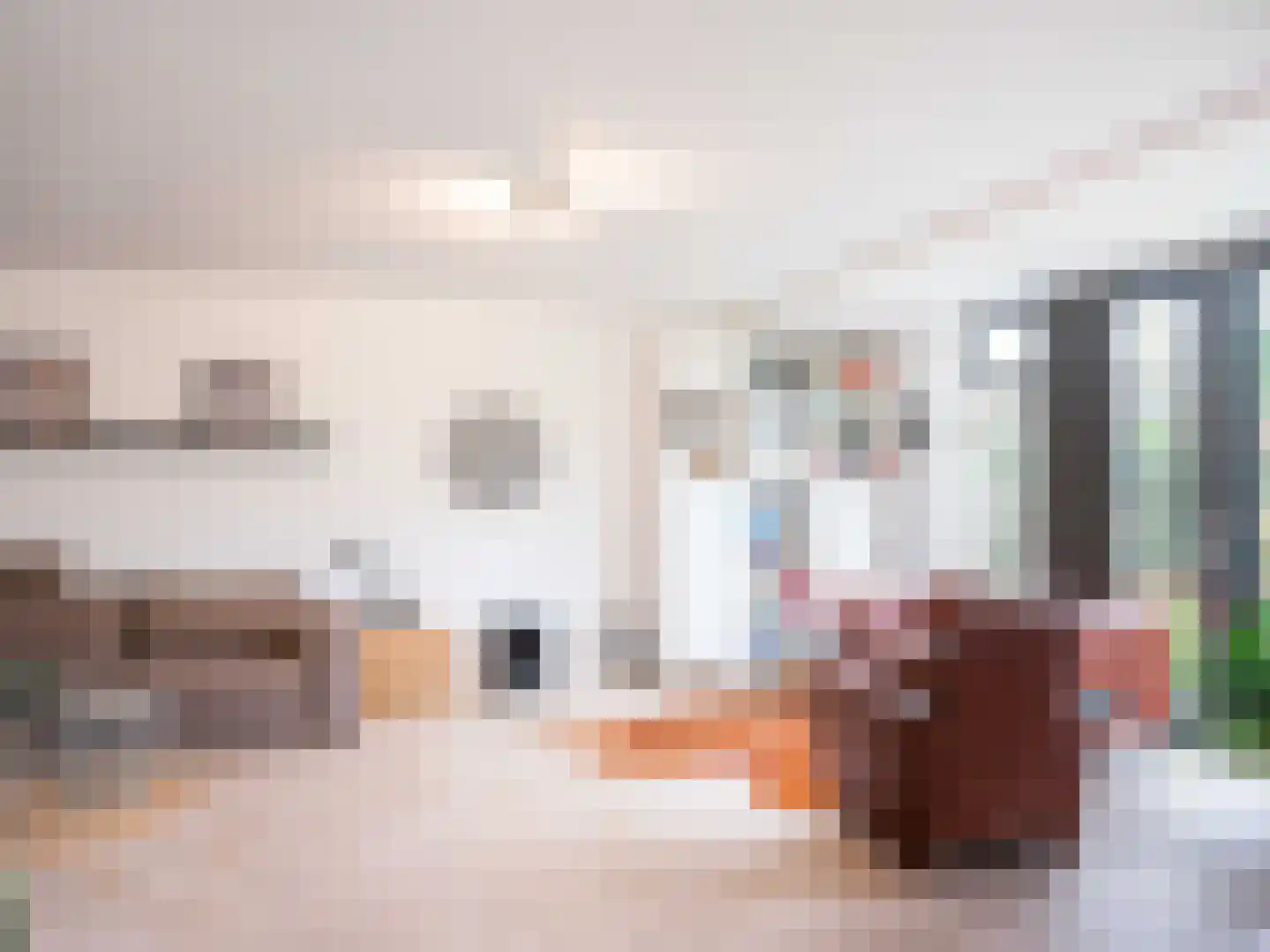 Lijsterbes 1 Heiloo thumbnail 6