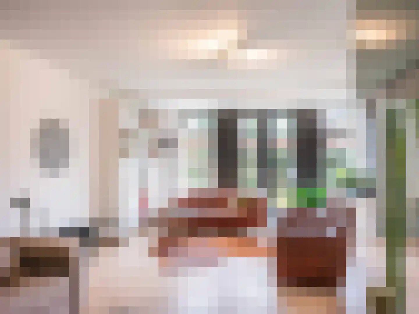 Lijsterbes 1 Heiloo thumbnail 8