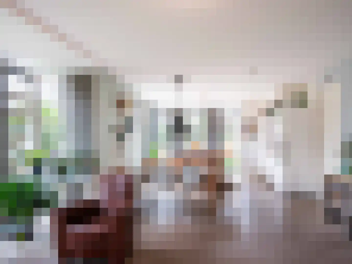 Lijsterbes 1 Heiloo thumbnail 9