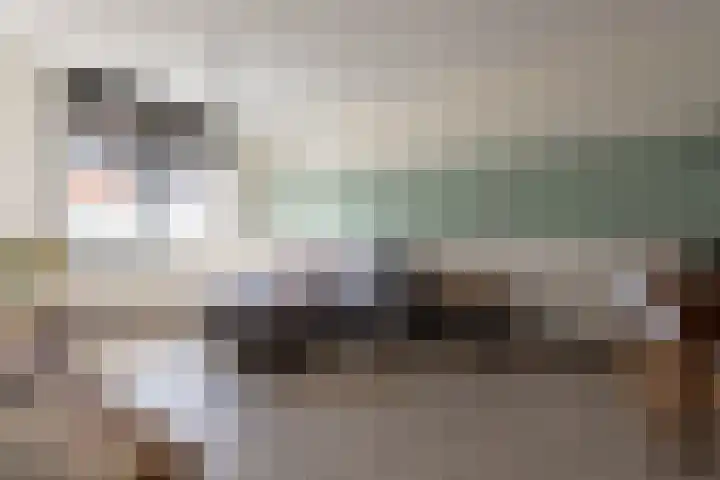 Lijsterbes 11 Nijkerk thumbnail 12