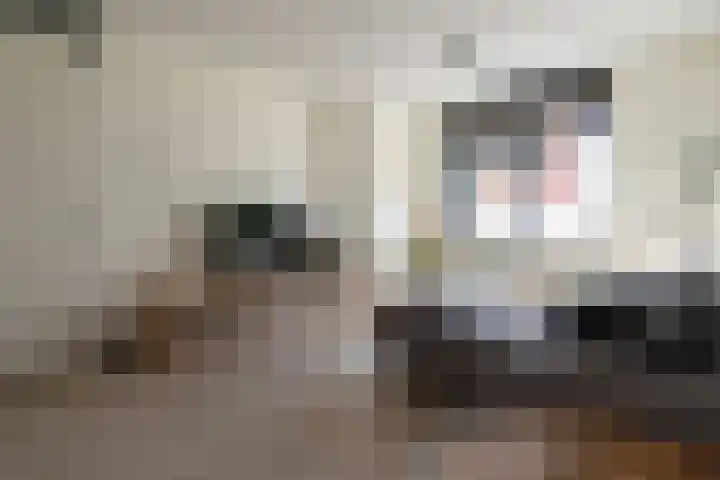 Lijsterbes 11 Nijkerk thumbnail 13