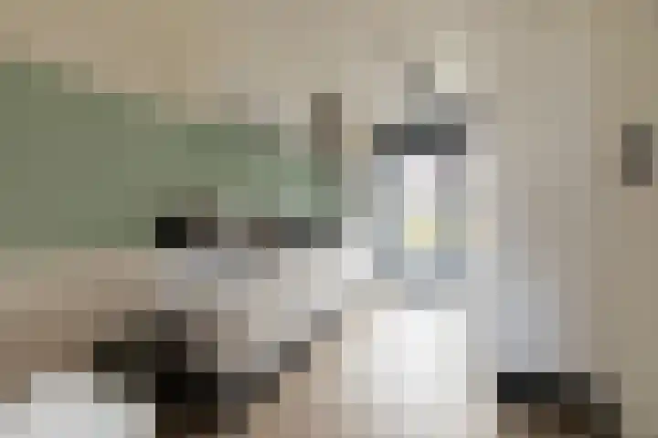 Lijsterbes 11 Nijkerk thumbnail 18
