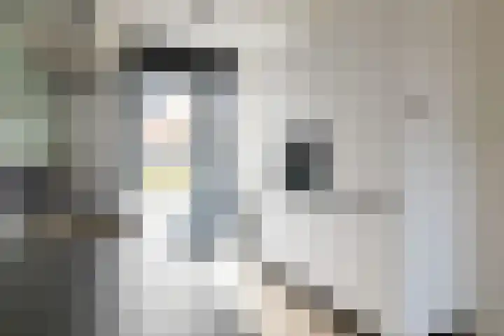 Lijsterbes 11 Nijkerk thumbnail 19
